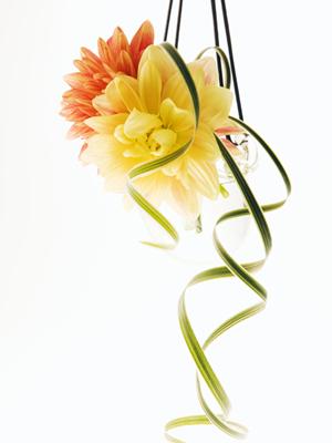 結婚式でこだわりの撮影ができる情報です